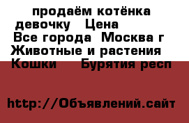 продаём котёнка девочку › Цена ­ 6 500 - Все города, Москва г. Животные и растения » Кошки   . Бурятия респ.